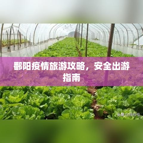 鄱阳疫情旅游攻略,安全出游指南