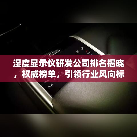 湿度显示仪研发公司排名揭晓,权威榜单,引领行业风向标!