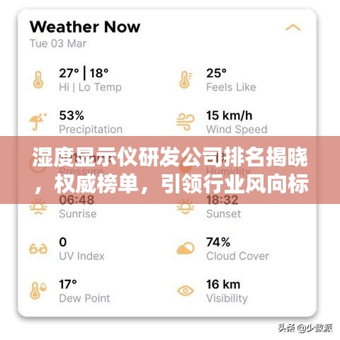 湿度显示仪研发公司排名揭晓,权威榜单,引领行业风向标!