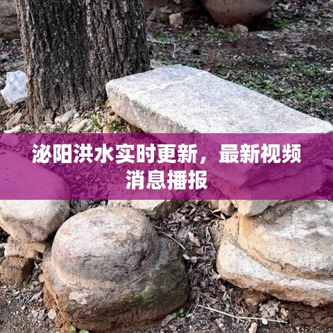 泌阳洪水实时更新,最新视频消息播报