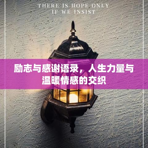 励志与感谢语录,人生力量与温暖情感的交织