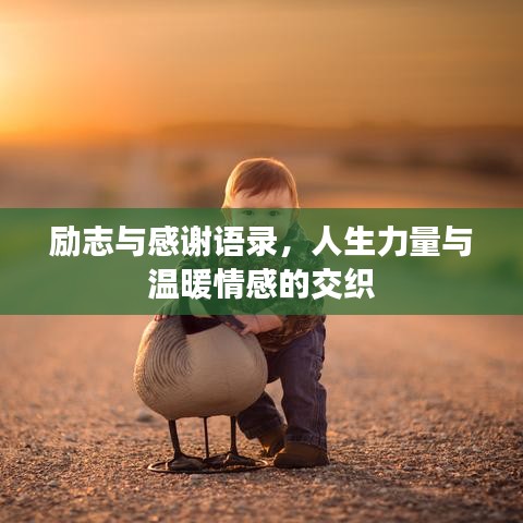励志与感谢语录,人生力量与温暖情感的交织