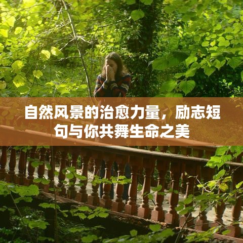 自然风景的治愈力量,励志短句与你共舞生命之美