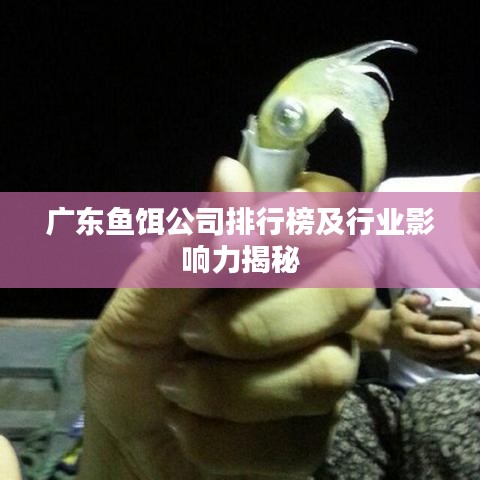 广东鱼饵公司排行榜及行业影响力揭秘