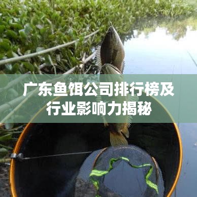 广东鱼饵公司排行榜及行业影响力揭秘