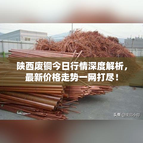 陕西废铜今日行情深度解析,最新价格走势一网打尽!