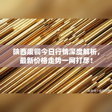 陕西废铜今日行情深度解析,最新价格走势一网打尽!