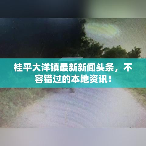 桂平大洋镇最新新闻头条,不容错过的本地资讯!