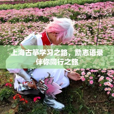 上海古筝学习之路,励志语录伴你同行之旅