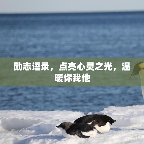 励志语录,点亮心灵之光,温暖你我他