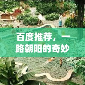 百度推荐,一路朝阳的奇妙之旅简介