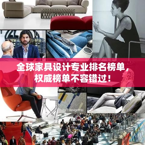 鸟吏鳖官 第3页