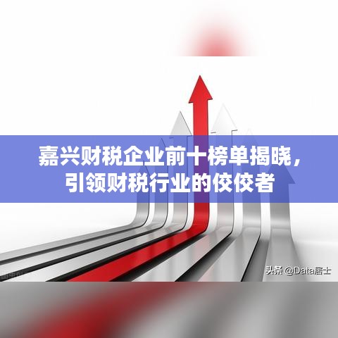 嘉兴财税企业前十榜单揭晓,引领财税行业的佼佼者