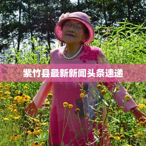 紫竹县最新新闻头条速递