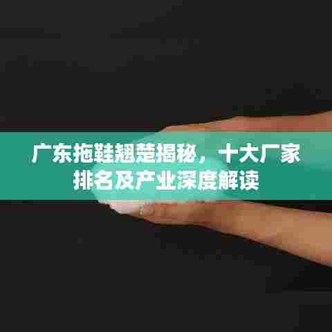广东拖鞋翘楚揭秘,十大厂家排名及产业深度解读