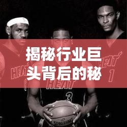 揭秘行业巨头背后的秘密,网站行业排名前十名解析