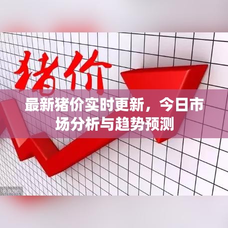 最新猪价实时更新,今日市场分析与趋势预测