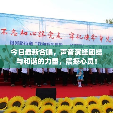 今日最新合唱,声音演绎团结与和谐的力量,震撼心灵!