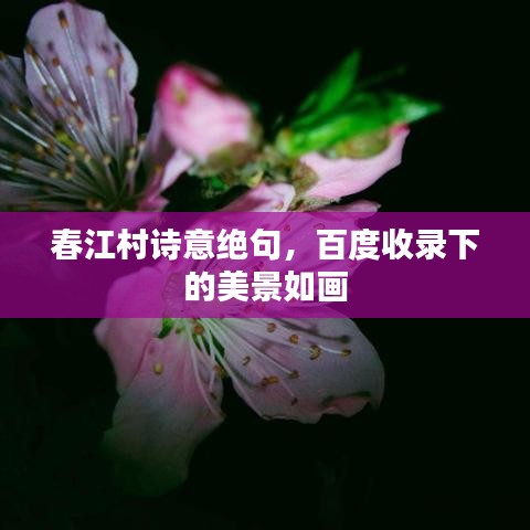 蛙鸣鼓吹 第3页