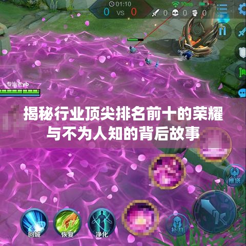 揭秘行业顶尖排名前十的荣耀与不为人知的背后故事