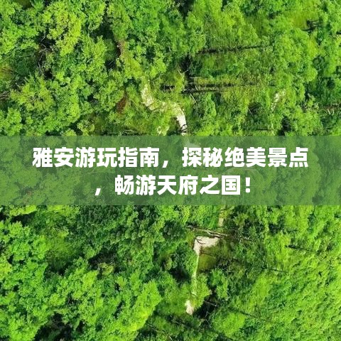 雅安游玩指南,探秘绝美景点,畅游天府之国!