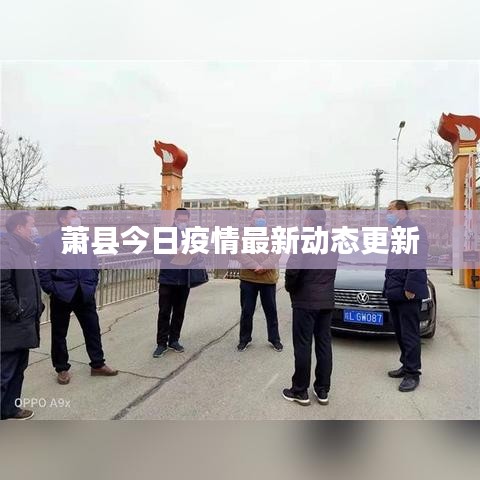 萧县今日疫情最新动态更新