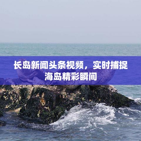 长岛新闻头条视频,实时捕捉海岛精彩瞬间