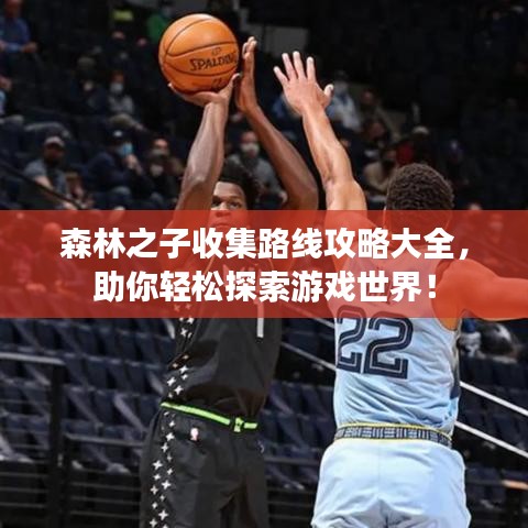 森林之子收集路线攻略大全,助你轻松探索游戏世界!