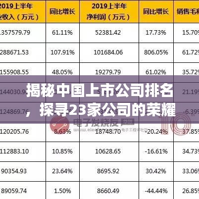 揭秘中国上市公司排名,探寻23家公司的荣耀与辉煌实力展现