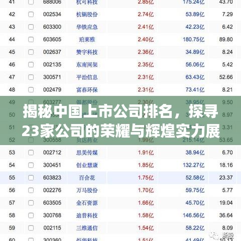 揭秘中国上市公司排名,探寻23家公司的荣耀与辉煌实力展现