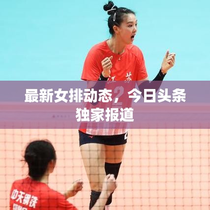 最新女排动态，今日头条独家报道