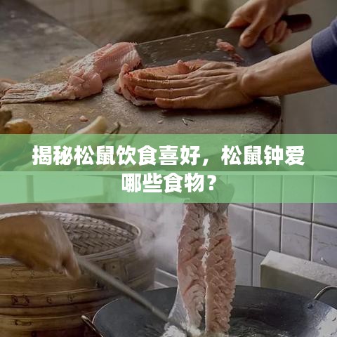 揭秘松鼠饮食喜好,松鼠钟爱哪些食物?