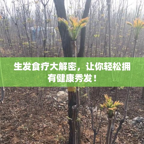 生发食疗大解密,让你轻松拥有健康秀发!