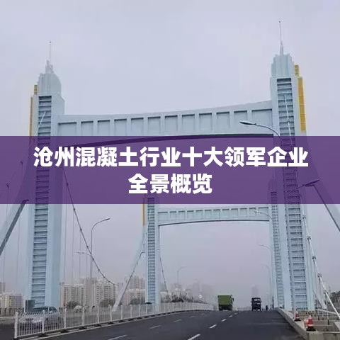沧州混凝土行业十大领军企业全景概览