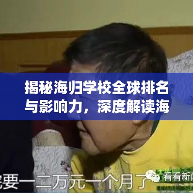 揭秘海归学校全球排名与影响力,深度解读海归教育的国际地位与影响