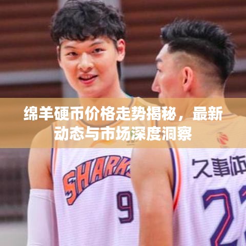 绵羊硬币价格走势揭秘,最新动态与市场深度洞察