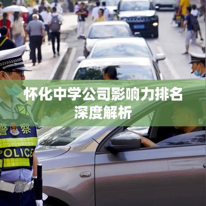 怀化中学公司影响力排名深度解析