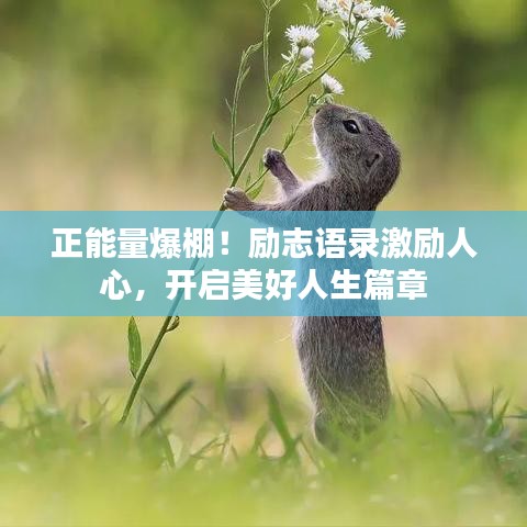 正能量爆棚!励志语录激励人心,开启美好人生篇章