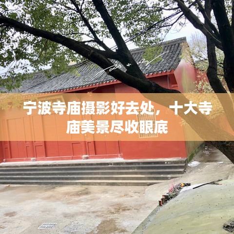 宁波寺庙摄影好去处,十大寺庙美景尽收眼底