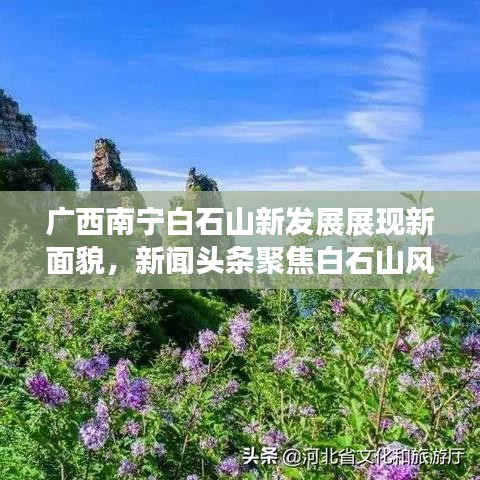 广西南宁白石山新发展展现新面貌,新闻头条聚焦白石山风采