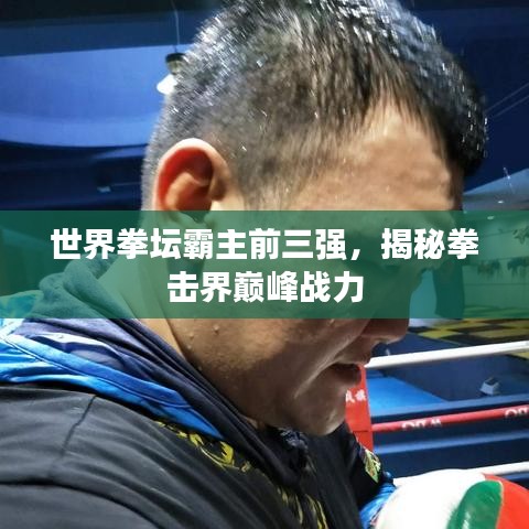 世界拳坛霸主前三强，揭秘拳击界巅峰战力