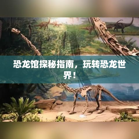 恐龙馆探秘指南,玩转恐龙世界!