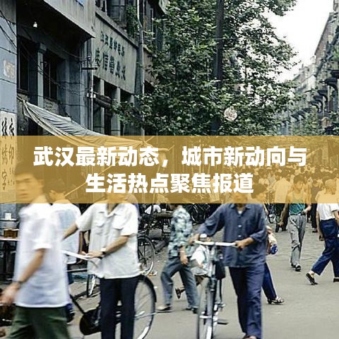 武汉最新动态,城市新动向与生活热点聚焦报道
