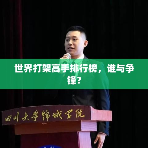 世界打架高手排行榜,谁与争锋?