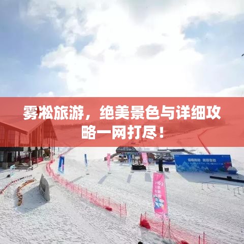 雾凇旅游,绝美景色与详细攻略一网打尽!
