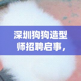 深圳狗狗造型师招聘启事,最新职位空缺等你来挑战!