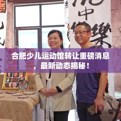 合肥少儿运动馆转让重磅消息,最新动态揭秘!