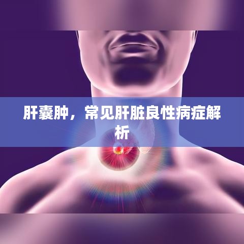 肝囊肿,常见肝脏良性病症解析