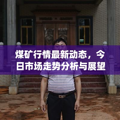 煤矿行情最新动态,今日市场走势分析与展望