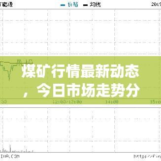 煤矿行情最新动态,今日市场走势分析与展望